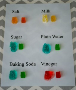 Gummy Bears Osmosis Lab Printable