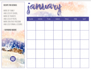 Beautiful January Calendar