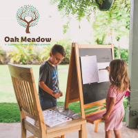 Oak Meadow Homeschool Curriculum Review