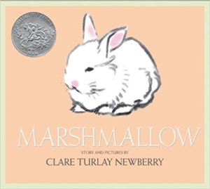 Marshmallow Bunny Book for Kids