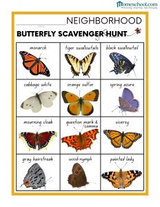Butterfly Scavenger Hunt Printable