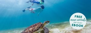 Ocean Animals Unit Study for Homeschoolers